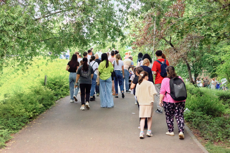 Group of people walking away on a paved path winding through a lush, green public park